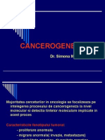 Cancerogeneza