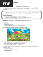 Prueba Equilibrio en Los Ecosistemas Cuarto