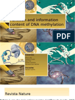 metilação de DNA