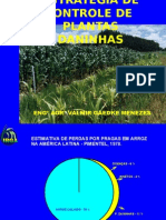 ESTRATÉGIA DE MANEJO DE PLANTAS DANINHAS.ppt