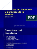 Garantias Del Imputado