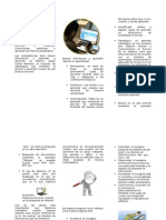 Triptico Acceso A Internet