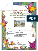 INFORME 2- POST COSECHA.doc