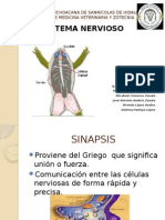 Sistema Nervioso Segunda Parte