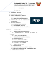 Estudio de Pre Inversion A Nivel Perfil Ticapampa Pavimentado PDF