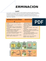 La Germinacion 1