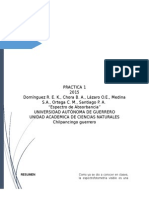 practica-1-analisis-in. (1).docx