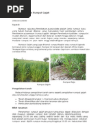 Download Rumput Raja dan Rumput Gajah by Jajat Rohmana SN291322243 doc pdf
