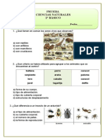 2º Año Ciencias