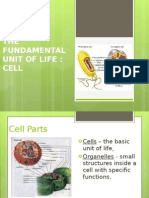 THE Fundamental Unit of Life: Cell