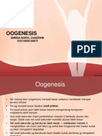 Oogenesis 