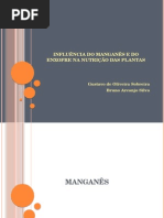 Seminário Fisiologia Vegetal - Manganês e Enxofre
