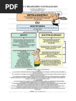 BRASILEIRO NATO X BRASILEIRO NATURALIZADO.doc