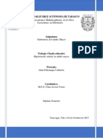 CHARLA EDUCATIVA HIPERTENCION ARTERIAL EN EL ADULTO LIDIA PALOMEQUE.pdf