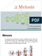 1.2.2 Meiosis PDF