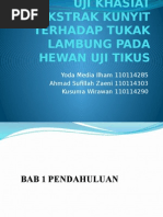 Download Uji Khasiat Kunyit Terhadap Penyakit Maag1 by Sufillah Zaeni SN291388243 doc pdf