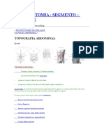 Soto Anatomia