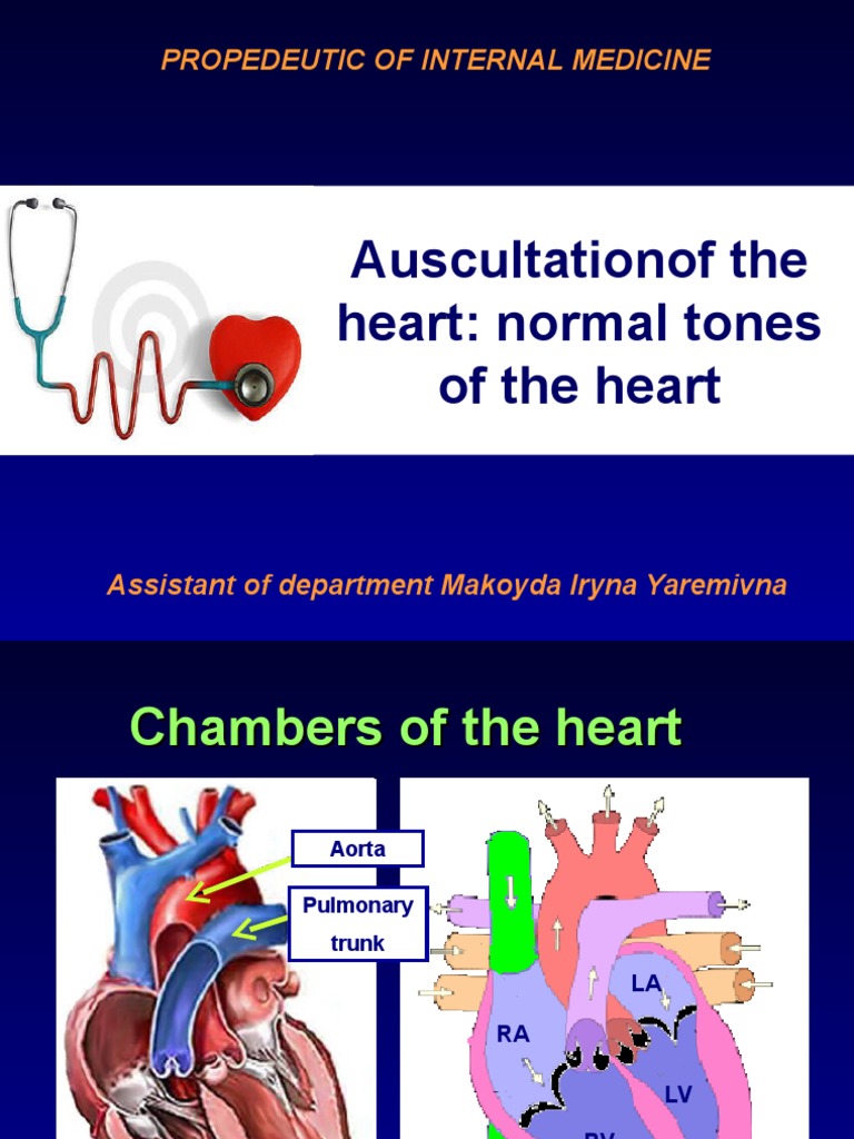 Auscultation of The Heart PDF Heart Valve Ventricle (Heart)