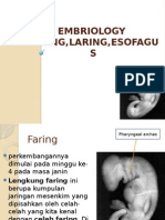 Embriologi Farings Larings Esofagus