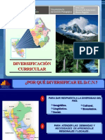 Diapositivas de DIVERSIFICACIONcta.ppt