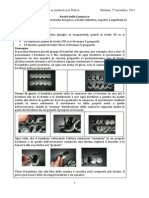 Schede Per Il Laboratorio Per Aritmetica in Pratica