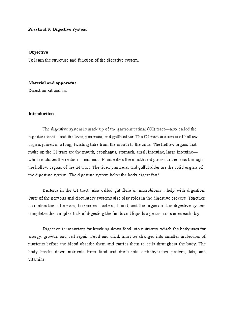 Anatomy Rat Lab Report Digestive & Respiratory | PDF | Respiratory ...