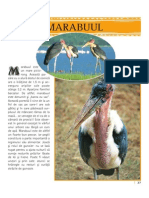 Enciclopedia animalelor27