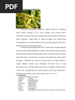 Download kenanga by DesiWidyAstuti SN291455097 doc pdf