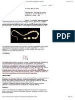 DIPYLIDIOSIS o DIPILIDIASIS - Recursos en Parasitología - Universidad Nacional Autónoma de México (CHECKED)