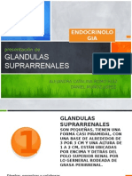 GLANDULAS SUPRARRENALES