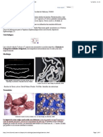 Taeniosis o Teniasis - Recursos en Parasitología - Unam (Checked)