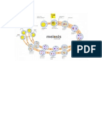 Tema 3 Primer Trimestre