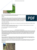 Rasađivanje I Nega Biljaka Paprike NS SEME PDF