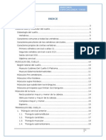 Monografia de Anatomia de cuello odontologia