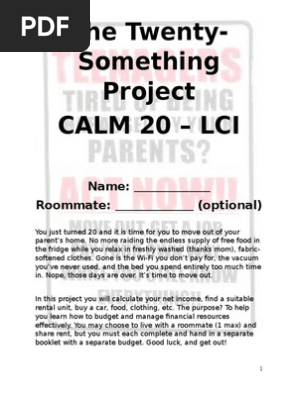the twenty-something project