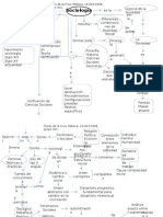 Cuadro Mental Sociologia