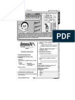 3 - Anatomia 3RO__IIB