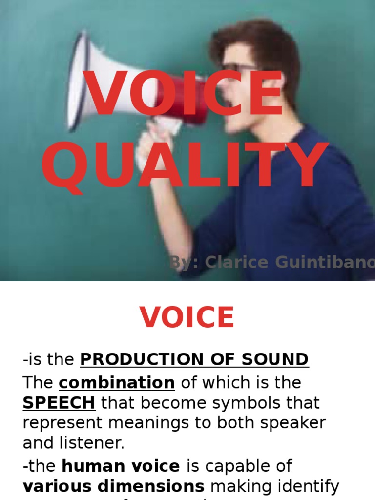 Voice Quality PDF Human Voice Oral Communication