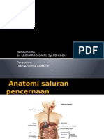 PSMBA Anemia