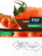 SAUCES TOMATO.ppt