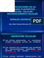 Adhesion Celular UNMSM 