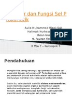 Struktur Dan Fungsi Sel Prokariotik - X MIA 7 - Kelompok 5