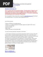 Diy How To Grow Opium at Home