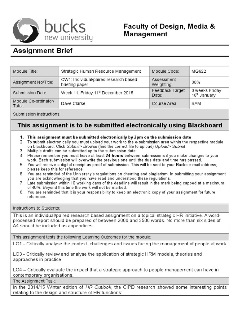 Strategic HRM Assignment Brief | PDF | Human Resource Management ...