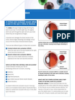 Retinal Vein Occlusion