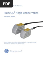 GEIT-20120EN TrueDGS Probes Datasheet