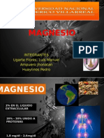 Magnesio - Quimica