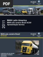 MAN-cats cenário Brasil ACAV_V4.pdf