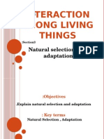 interaction among living things