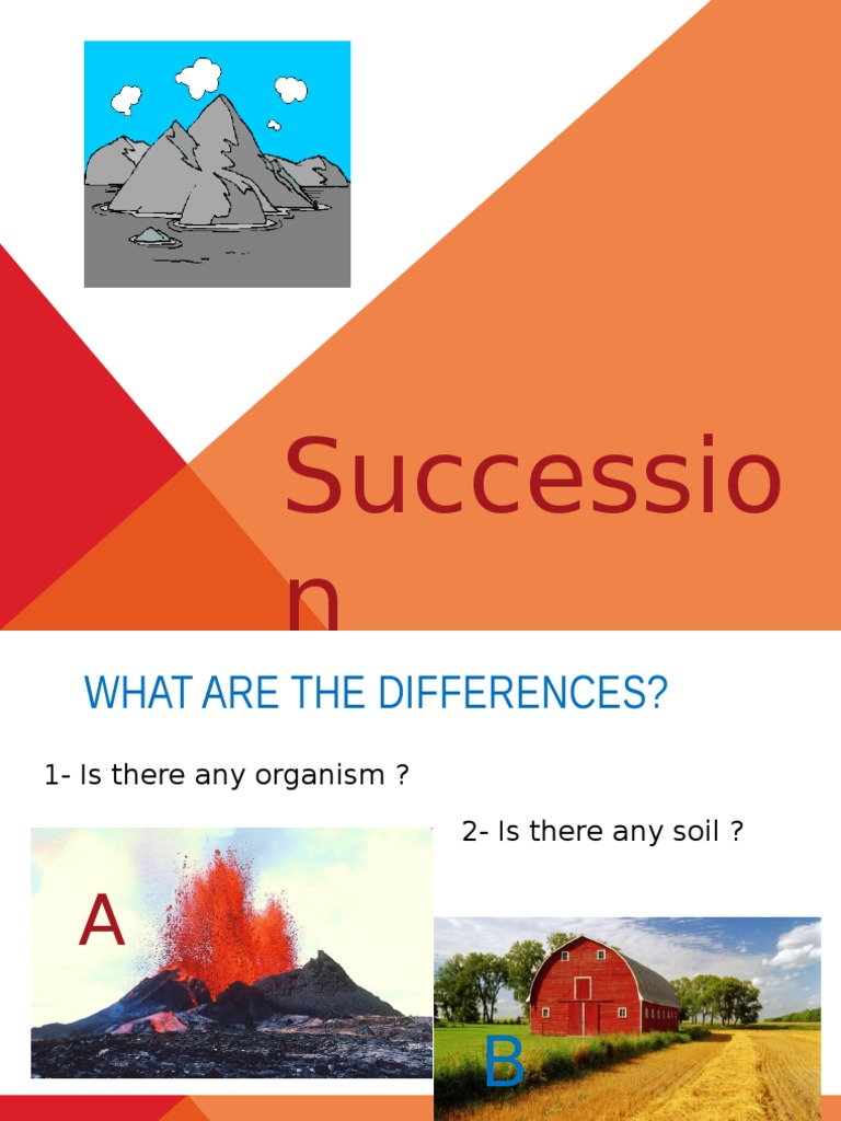 Understanding Primary Succession | PDF | Science & Mathematics